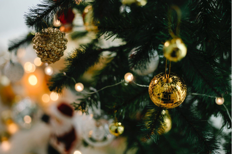 Celebrating Christmas on the Beaches of Ecuador with Artificial Christmas Trees